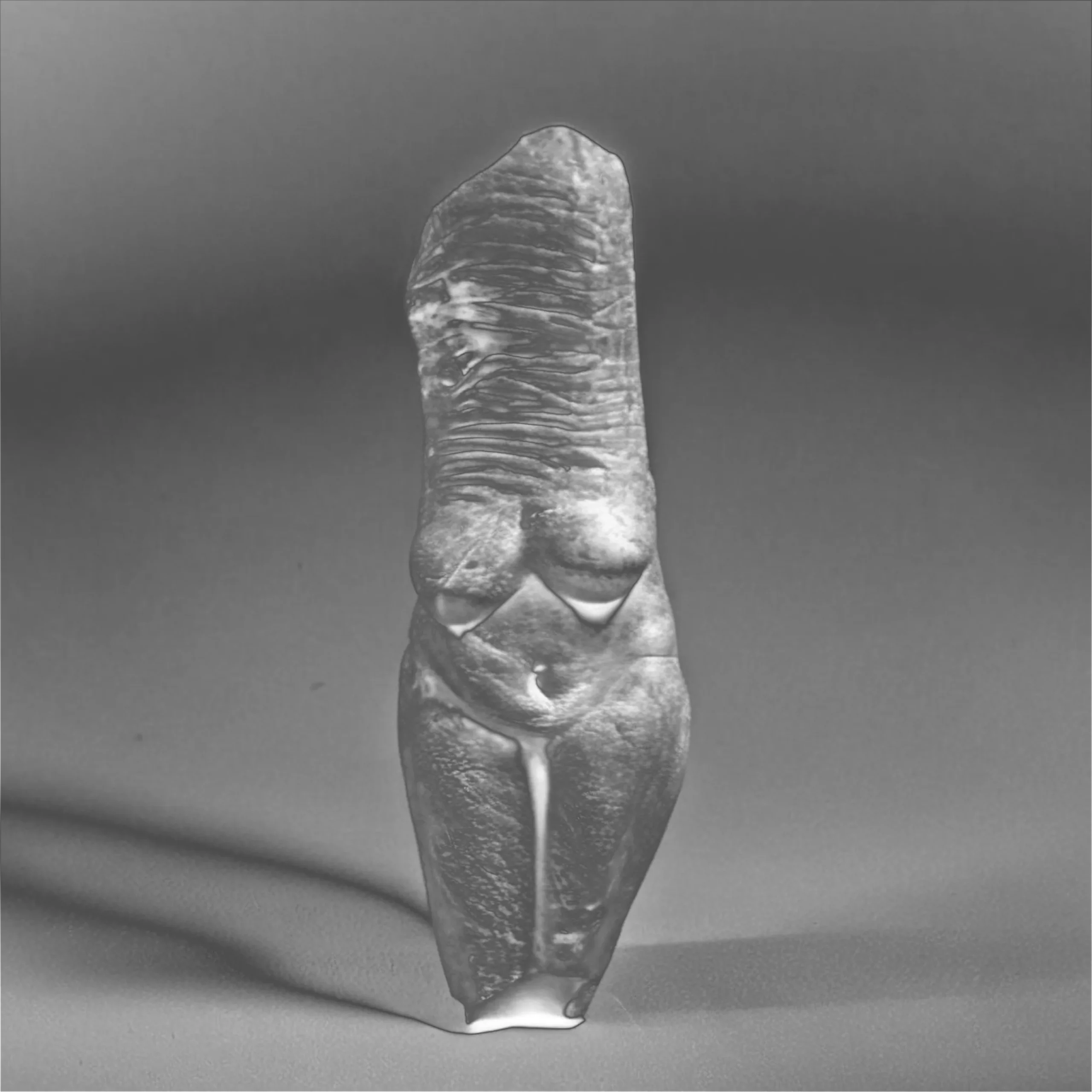 A venus generated with custom AI model of a woman and an exaggerated neck.