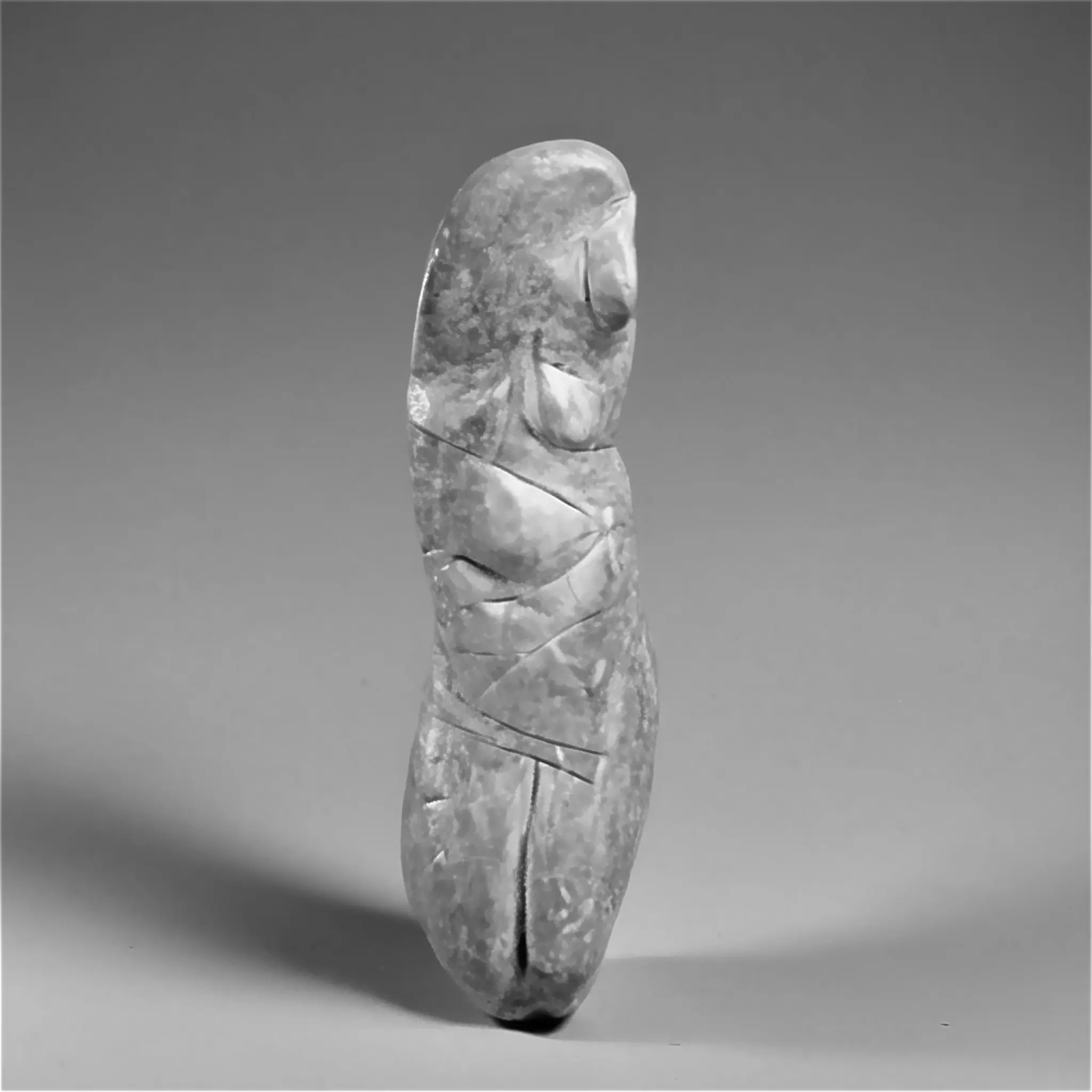 A venus generated with custom AI model of a woman. Indistinct shapes.